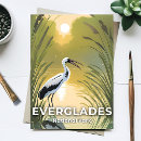 Buscar cigüeña postales Pantano