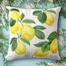 Buscar madera blanca cojines Para todos