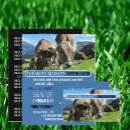 Buscar vacas lecheras tarjetas de visita Clientes