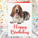 Buscar basset hound tarjetas Divertido