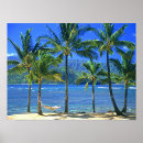 Buscar árboles bonitos posters Para ellos