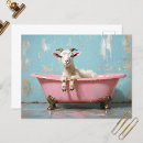 Buscar bañeras postales General y unisex