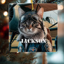 Buscar gato persa adornos Divertido