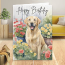 Buscar perro amarillo tarjetas General y unisex