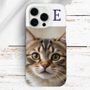 Buscar gato del iphone fundas Elegante