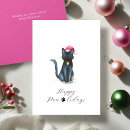 Buscar gatitos tarjetas Para todos