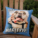 Buscar cómico cojines Para todos