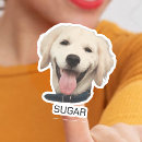 Buscar del mascota pegatinas Para mascotas