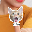 Buscar mascotas pegatinas Para mascotas