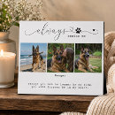 Buscar mascota memoriales Para todos