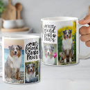 Buscar gatos blancos tazas Para todos