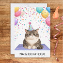 Buscar gato gordo tarjetas Divertido