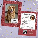 Buscar perro tarjetas de visita Para todos