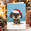 Buscar teckel tarjetas Dachshund
