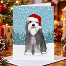 Buscar collie tarjetas Navidades