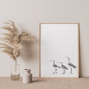 Buscar dibujo animales posters Pájaros