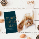 Buscar gato del oro tarjetas Moderno