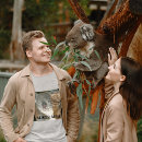 Buscar oso gris camisetas Australia