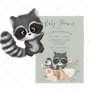 Buscar racoon Animales silvestres