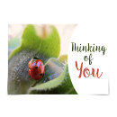 Buscar ladybird tarjetas Flor