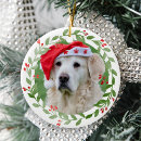Buscar casa de perro adornos Navidades