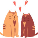 Buscar gorilla ropa Gorila