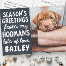 Buscar graciosas de navidades postales Saludos