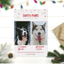 Buscar perro tarjetas Vacaciones