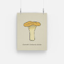 Buscar hongos posters Para ellos