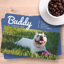 Buscar mascota perro invitaciones Cachorro