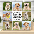 Buscar placa conmemorativa del perro placas fotograbadas Para todos