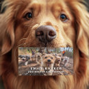 Buscar canino tarjetas de visita Para todos