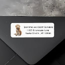 Buscar goldendoodle Acuarela