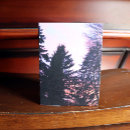 Buscar árboles forestales tarjetas Naturaleza