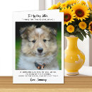 Buscar funny dog tarjetas Cachorro