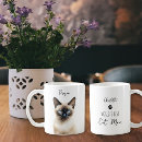 Buscar siamés tazas Amante del gato