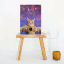 Buscar selfies postales General y unisex