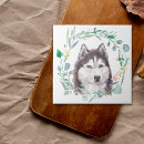 Buscar husky siberiano azulejos Animal