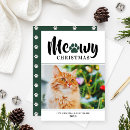 Buscar gato fotograficas tarjetas Para mascotas