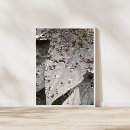 Buscar gotas de lluvia posters General y unisex