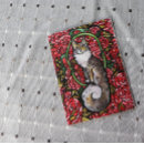 Buscar maine coon gatos tarjetas Coño