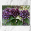 Buscar violeta tablas cortar Floral