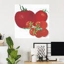 Buscar tomate maduro posters Tomates
