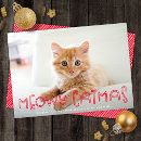Buscar meowy catmas tarjetas 9 º gata