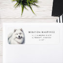 Buscar nueva madre postales Perro