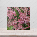 Buscar flores japonesas azulejos Floral