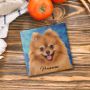 Buscar retrato abstracto azulejos Para todos