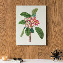 Buscar diseño floral antiguo posters Para ella