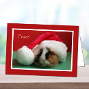 Buscar paz fresca tarjetas General y unisex