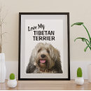 Buscar amo perros posters Razas de perros